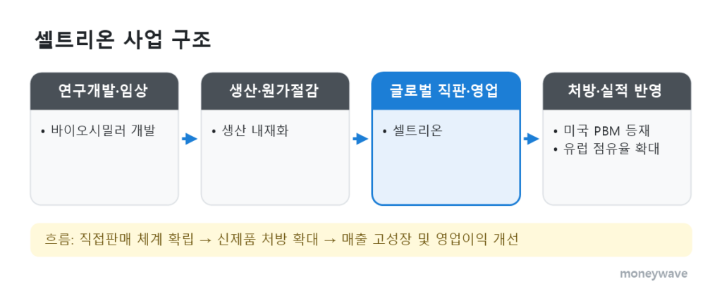 셀트리온 사업 구조: 연구개발·임상 → 생산·원가절감 → 글로벌 직판·영업 → 처방·실적 반영