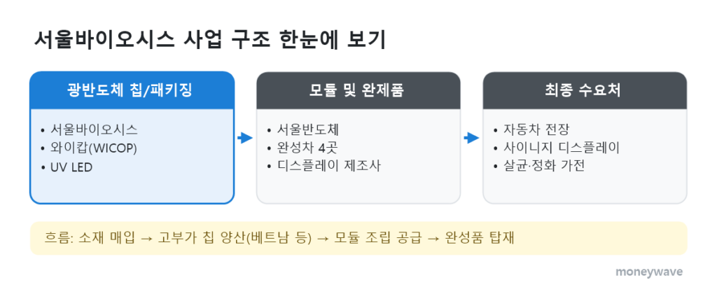 서울바이오시스 사업 구조: 광반도체 칩/패키징 → 모듈 및 완제품 → 최종 수요처